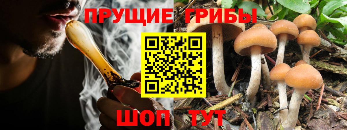 Лесозаводск  Галлюциногенные грибы мухоморы  Галлюциногенные грибы GOLDEN TEACHER  Вход с VPN 
