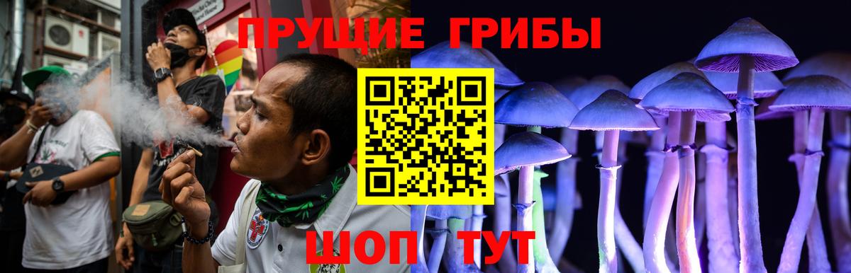 Галлюциногенные грибы Magic Shrooms Лесозаводск